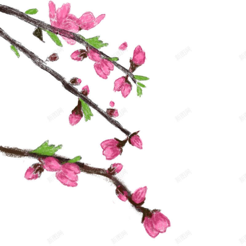 古风手绘桃花树枝jpg设计背景_新图网 https://ixintu.com 春天 春季 树叶 树枝 桃花 清新 温馨 花卉 花朵 花枝 装饰