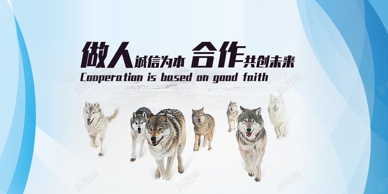 展板企业文化狼群合作团队psd设计背景_新图网 https://ixintu.com 企业文化 合作 团队 展板 手绘狼群 狼群