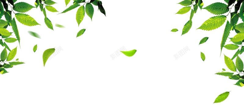 绿色树叶装饰背景