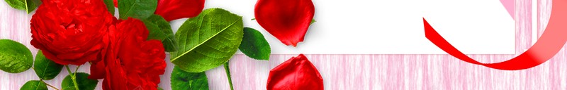 女王节浪漫粉色背景jpg设计背景_新图网 https://ixintu.com 女王节 女生节 梦幻登场 浪漫粉色背景 背景图