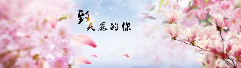 梦幻蜂蜜背景jpg设计背景_新图网 https://ixintu.com 小清新 梦幻 浪漫 花瓣 蜂蜜 文艺 海报banner 简约