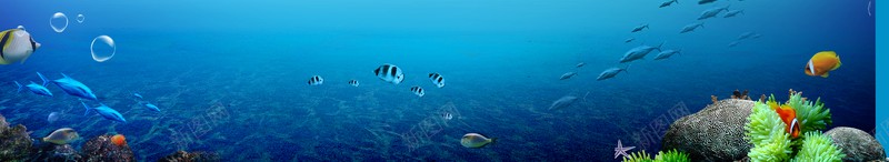 淘宝海洋主题首页背景模板jpg设计背景_新图网 https://ixintu.com 海洋 首页 店铺背景 文艺 小清新 简约