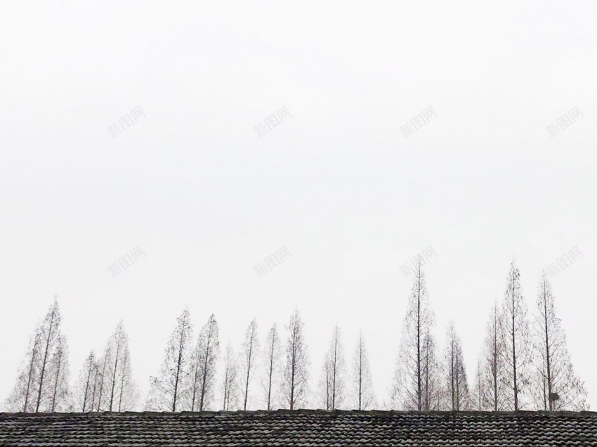 摄影图jpg设计背景_新图网 https://ixintu.com 海岸线 天际线 山 海 天空