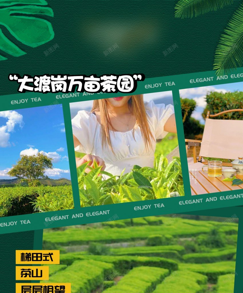 旅游海报jpg_新图网 https://ixintu.com 万亩 茶园 旅游 茶园茶