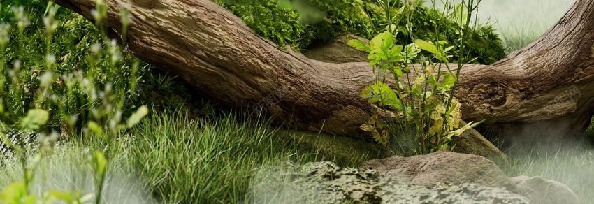 电商背景jpg设计背景_新图网 https://ixintu.com 立体展台 3D 3D展台 样机 电商背景 抖音 天猫 淘宝 京东 电商详情页 电商详情 主图背景 详情页背景 物品展台 物品展示 展厅 台子 520 618 88购物节 双十一 双11 双十二 双12 年货节 购物节 狂欢节 狂欢季 嗨购节 礼遇季 电商展示 电商装修 店铺装修 电商设计 立体背景 3D背景