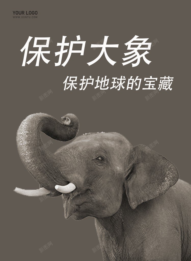 保护动物公益手机海报psd_新图网 https://ixintu.com 保护动物 公益 公益海报 原创海报 大象 手机 海报