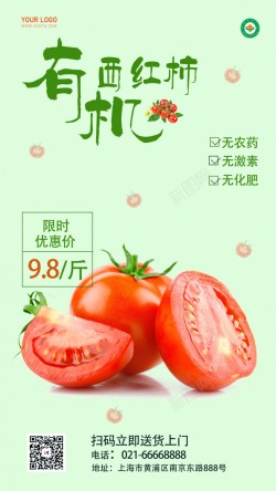 西红柿简约海报海报