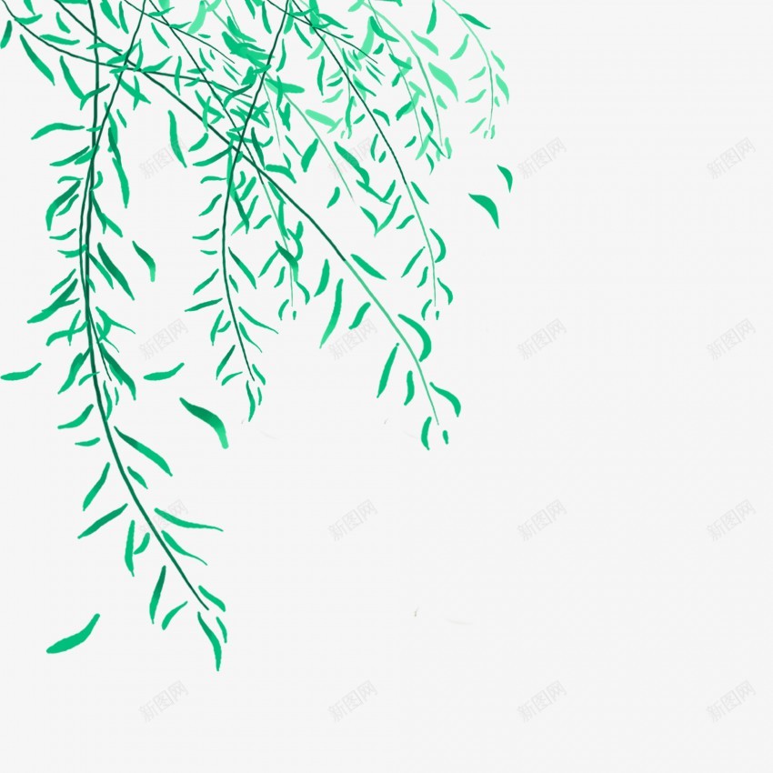 卡通装饰绿色树枝树叶插画端午节元素png免抠素材_新图网 https://ixintu.com 端午节 端午节元素 端午节素材 端午节插画 端午节叶片 立夏 立夏元素 立夏素材 立夏装饰 绿色叶子 绿色叶片 插画叶片