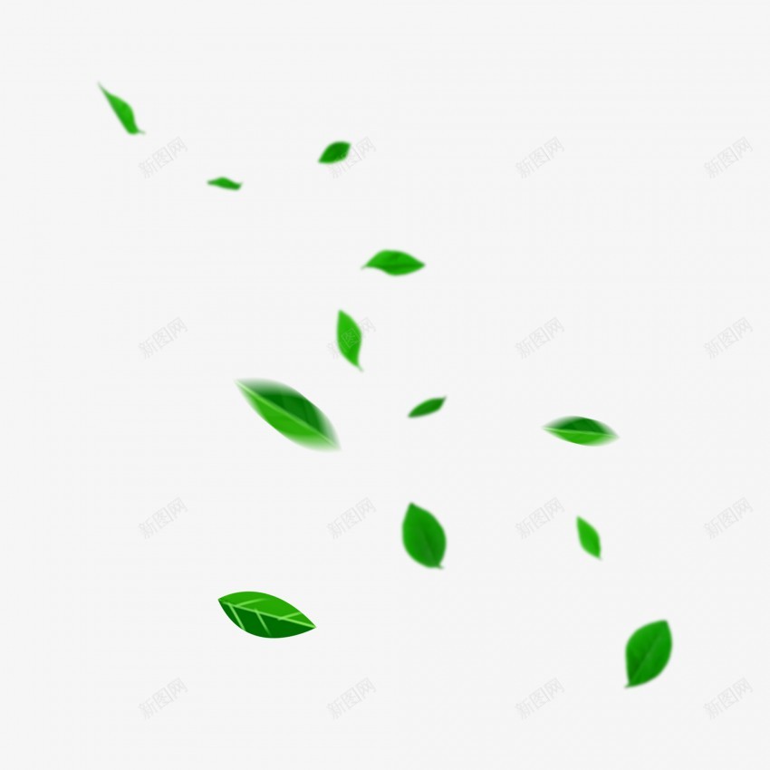 绿色装饰植物叶子元素png免抠素材_新图网 https://ixintu.com 叶子 叶子元素 叶子素材 叶子装饰 插画叶子 插画树叶 绿色叶子 绿色叶片 叶片元素 叶片素材 叶片插画