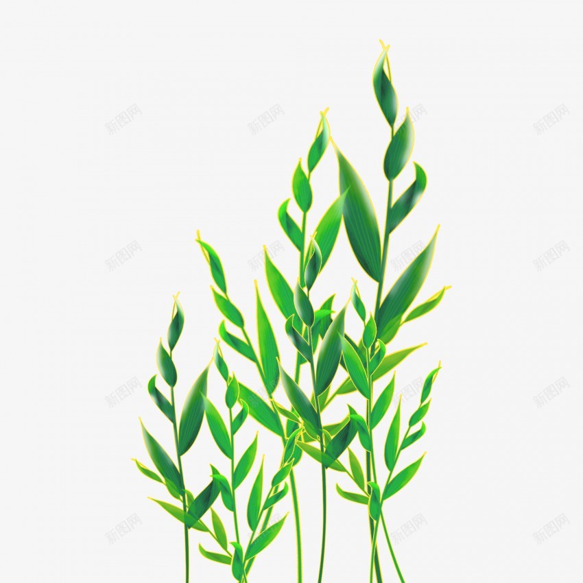 卡通装饰绿色树枝树叶插画元素png免抠素材_新图网 https://ixintu.com 植物 植物元素 植物素材 植物插画 叶子 绿色 绿叶 叶片 竹叶