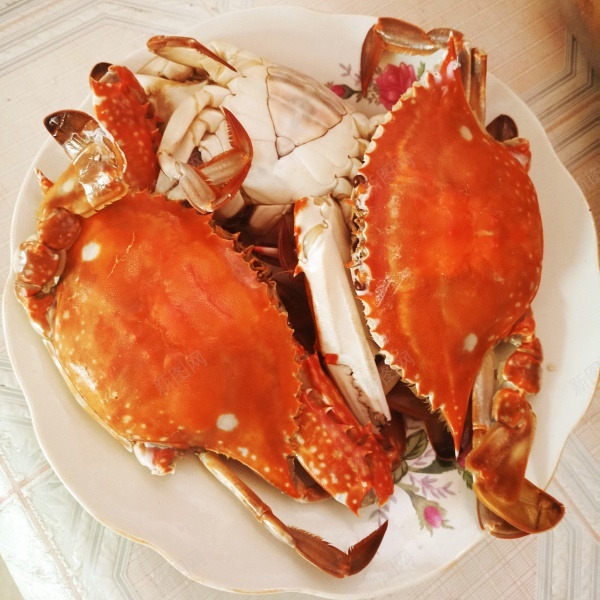 海鲜螃蟹美食jpg_新图网 https://ixintu.com 海鲜 美食 螃蟹