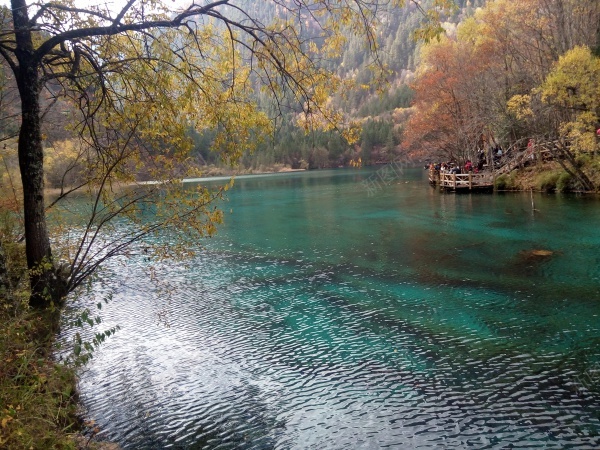 九寨沟清澈见底碧蓝色的湖水青山美景jpg_新图网 https://ixintu.com 九寨沟 清澈 湖水 美景 蓝色 青山