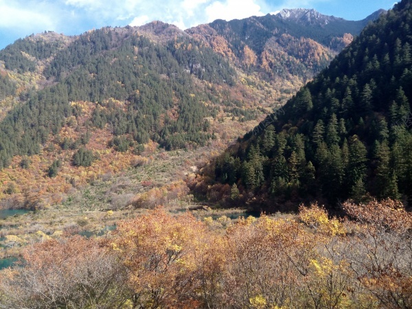 九寨沟清澈见底碧蓝色的湖水青山美景jpg_新图网 https://ixintu.com 九寨沟 清澈 湖水 美景 蓝色 青山