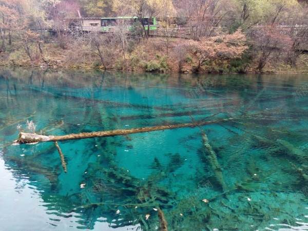 九寨沟清澈见底碧蓝色的湖水青山美景jpg_新图网 https://ixintu.com 九寨沟 清澈 湖水 美景 蓝色 青山