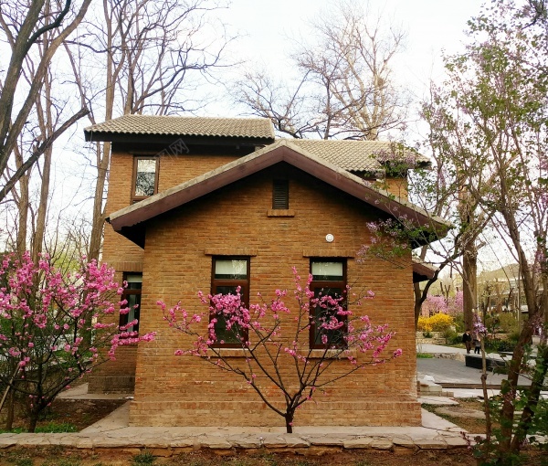 城市街道建筑jpg_新图网 https://ixintu.com 城市 小洋房 建筑 房屋 特色树木 花 街道