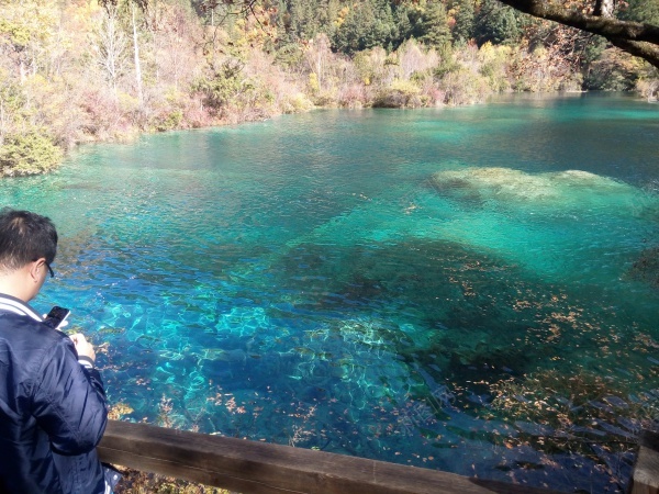九寨沟清澈见底碧蓝色的湖水青山美景jpg_新图网 https://ixintu.com 九寨沟 清澈 湖水 美景 蓝色 青山