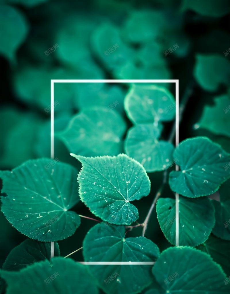 自然背景树叶黄边叶子背景叶jpg设计背景_新图网 https://ixintu.com 叶子背景