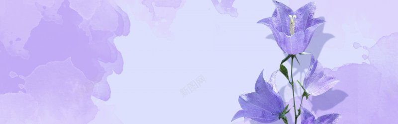 紫色背景banner纯背景jpg设计背景_新图网 https://ixintu.com banner纯背景 紫色背景