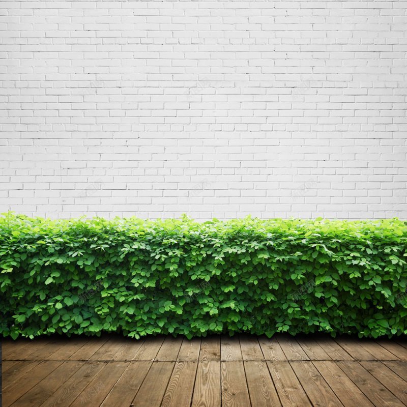 砖墙背景与木板背景背景纹理jpg设计背景_新图网 https://ixintu.com 背景纹理