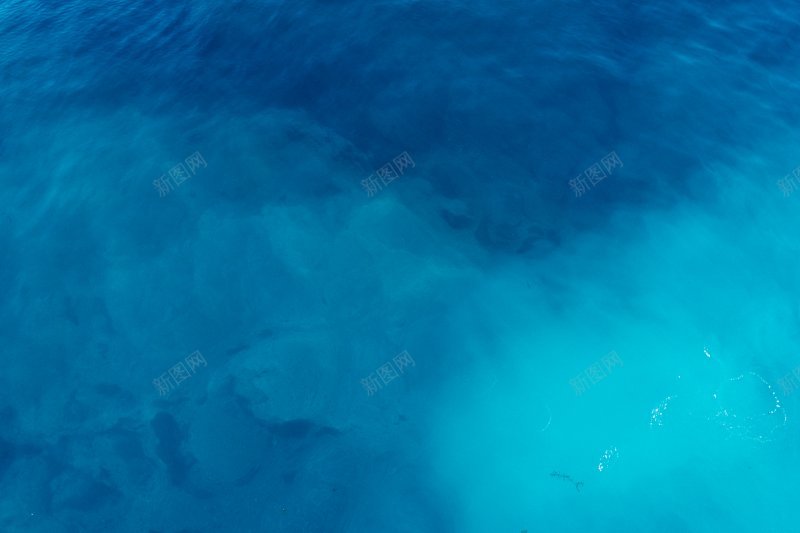 蓝色背景背景背景森林梦幻绿色背jpg设计背景_新图网 https://ixintu.com 森林梦幻 绿色背景 背景背景 蓝色背景