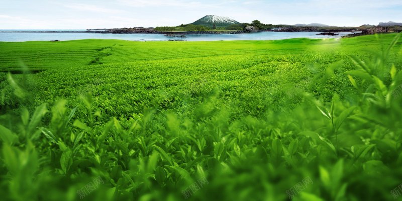 背景背景大图纹理壁纸jpg设计背景_新图网 https://ixintu.com 背景 背景高清大图纹理壁纸