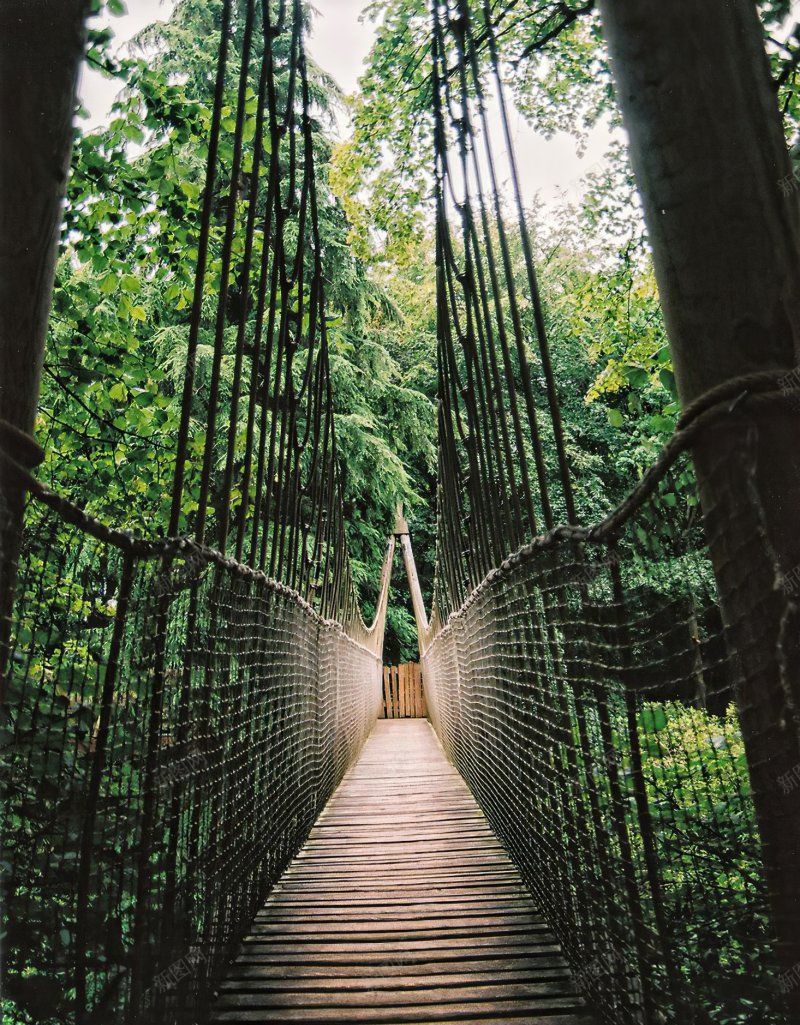 背景背景壁纸背景壁纸墙纸花纹jpg设计背景_新图网 https://ixintu.com 墙纸 壁纸 素材 背景 背景壁纸 花纹
