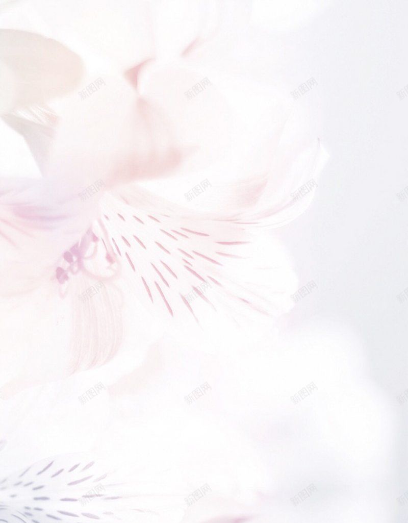 背景手机壁纸风景jpg设计背景_新图网 https://ixintu.com 手机壁纸 背景 高清风景