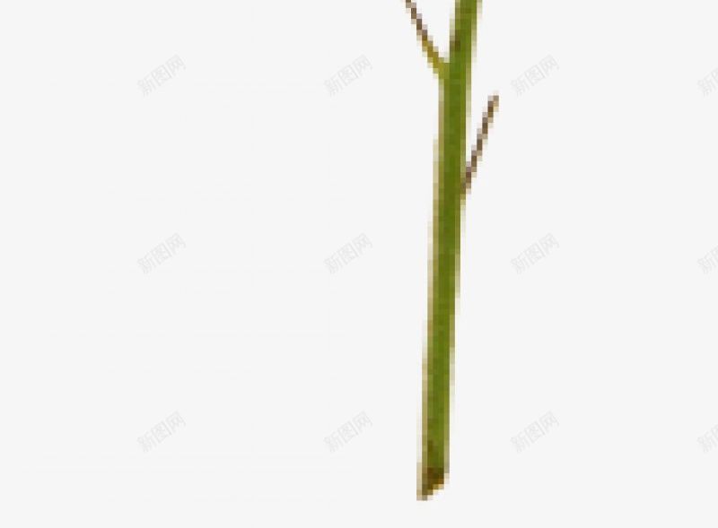 树枝树叶三xcbwuyi6565wuyi花瓣叶子飞图标png_新图网 https://ixintu.com wuyi xcbwuyi6565 树枝树叶三 花瓣叶子飞石各种飘蝶