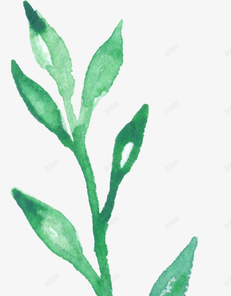 植物手绘电商库电商库城市摄影电商里常用的一png免抠素材_新图网 https://ixintu.com 会有不断的新进来的 免扣 手绘 植物 需要就关注吧