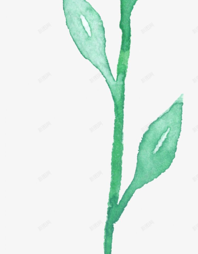 植物手绘电商库电商库城市摄影电商里常用的一png免抠素材_新图网 https://ixintu.com 会有不断的新进来的 免扣 手绘 植物 需要就关注吧