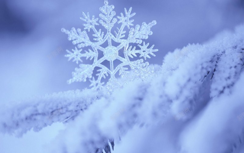 素雅雪花纹理背景电脑桌面壁纸电jpg设计背景_新图网 https://ixintu.com 电脑壁纸图片 笔记本壁纸