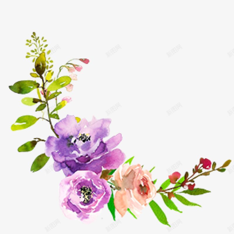 春季手绘水彩花卉手绘彩绘水彩插画png免抠素材_新图网 https://ixintu.com 免扣手绘彩绘水彩插画 春季手绘水彩花卉设计