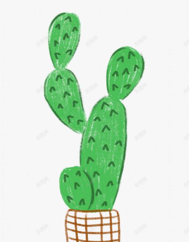 手绘彩铅室内植物可爱插画HOUSEPLANTSPapng免抠素材_新图网 https://ixintu.com Pack Patterns 免扣手绘彩绘水彩插画