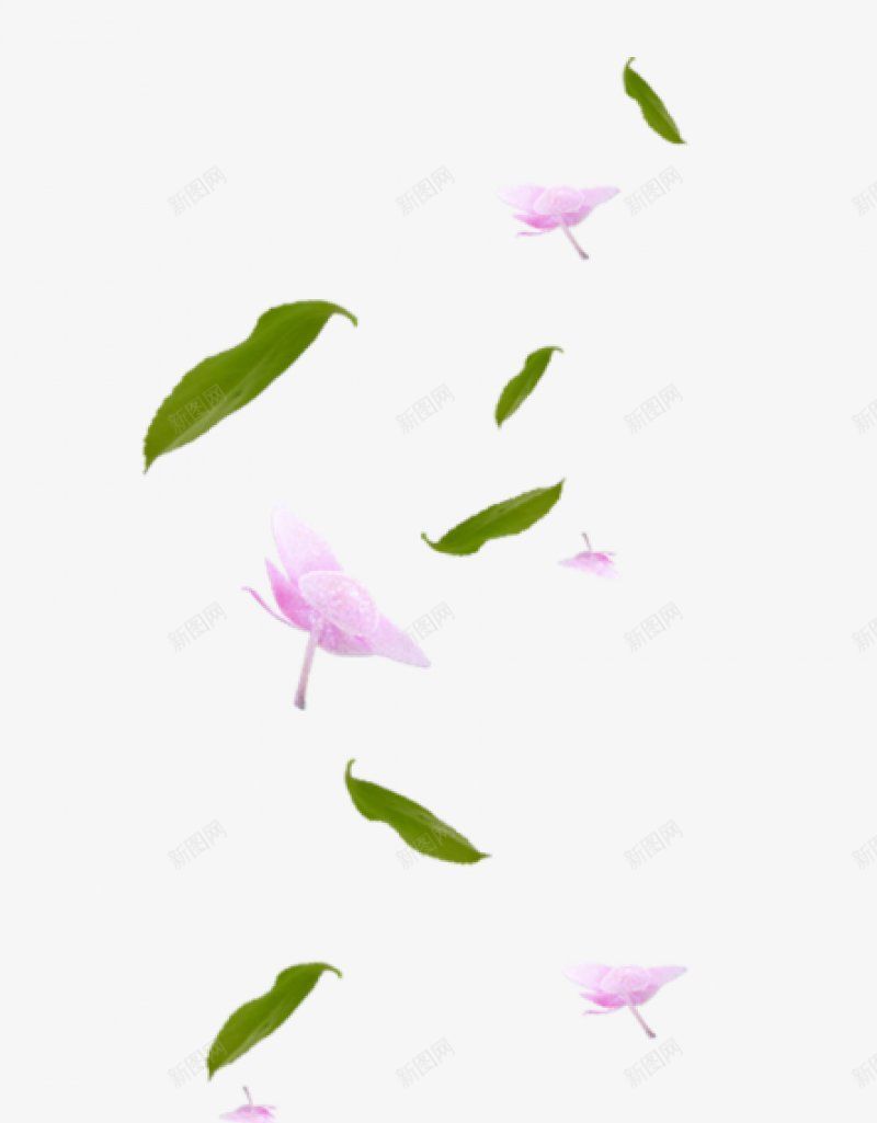 花瓣飘落h花类png免抠素材_新图网 https://ixintu.com h 花瓣飘落 花类
