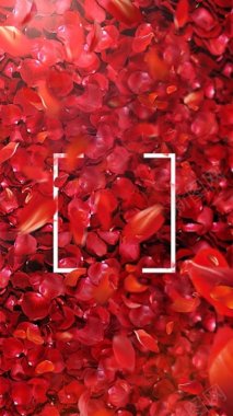 红色大气玫瑰花瓣护肤品背景图免费H5背景背景