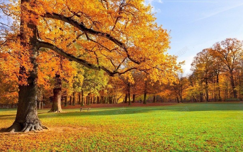 秋天唯美意境背景风景jpg设计背景_新图网 https://ixintu.com 风景