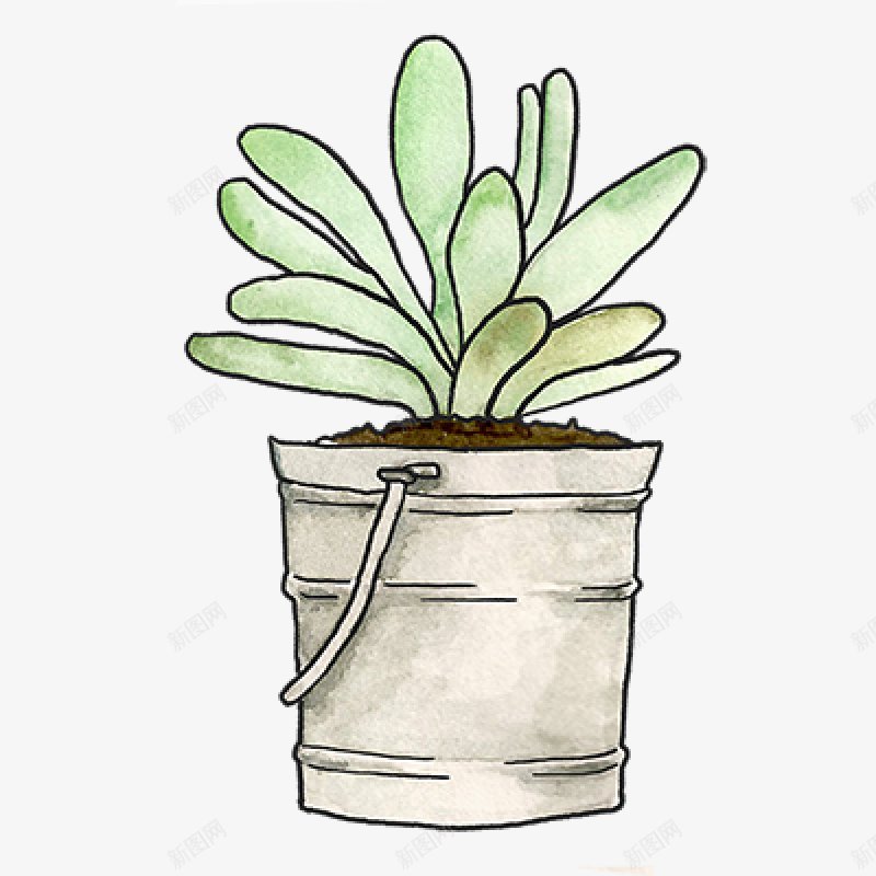 手绘水彩盆栽多肉植物专辑Vol006多肉植物png免抠素材_新图网 https://ixintu.com 专辑Vol 多肉植物