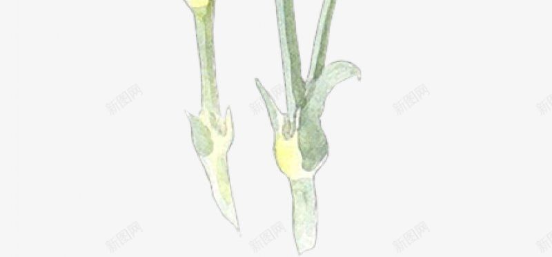康乃馨母亲节感恩节164插画母亲节父亲教师节png免抠素材_新图网 https://ixintu.com 康乃馨母亲节感恩节 插画母亲节父亲教师节