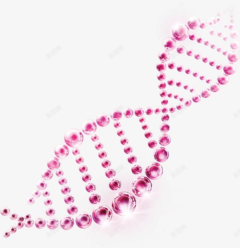红色医疗生物科技模型png免抠素材_新图网 https://ixintu.com 红色 医疗 几何结构 脱氧核糖核酸 分子结构 基因模型 生物科技 化学 模型 科技 生物 基因 分子 结构
