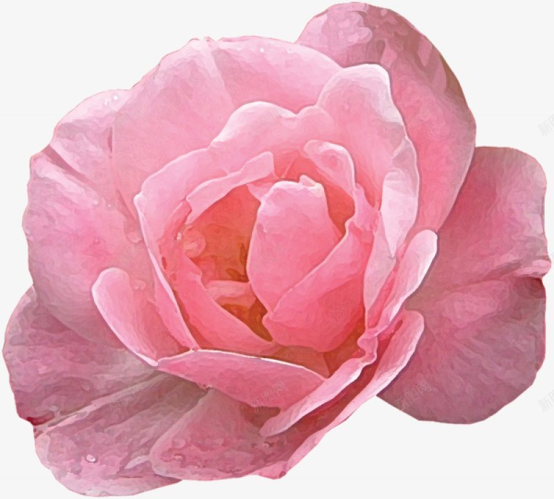 花朵二xcbwuyi6565wuyi花朵化妆品花朵图标png_新图网 https://ixintu.com wuyi xcbwuyi6565 花朵二 花朵化妆品花朵