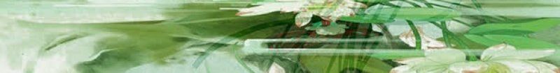 手绘荷花荷叶水雾材png免抠素材_新图网 https://ixintu.com 手绘荷花 材 水雾 荷叶