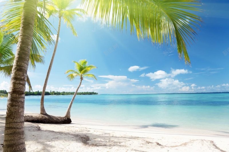 海边自然风光背景viewjpg设计背景_新图网 https://ixintu.com view 海边自然风光背景图片