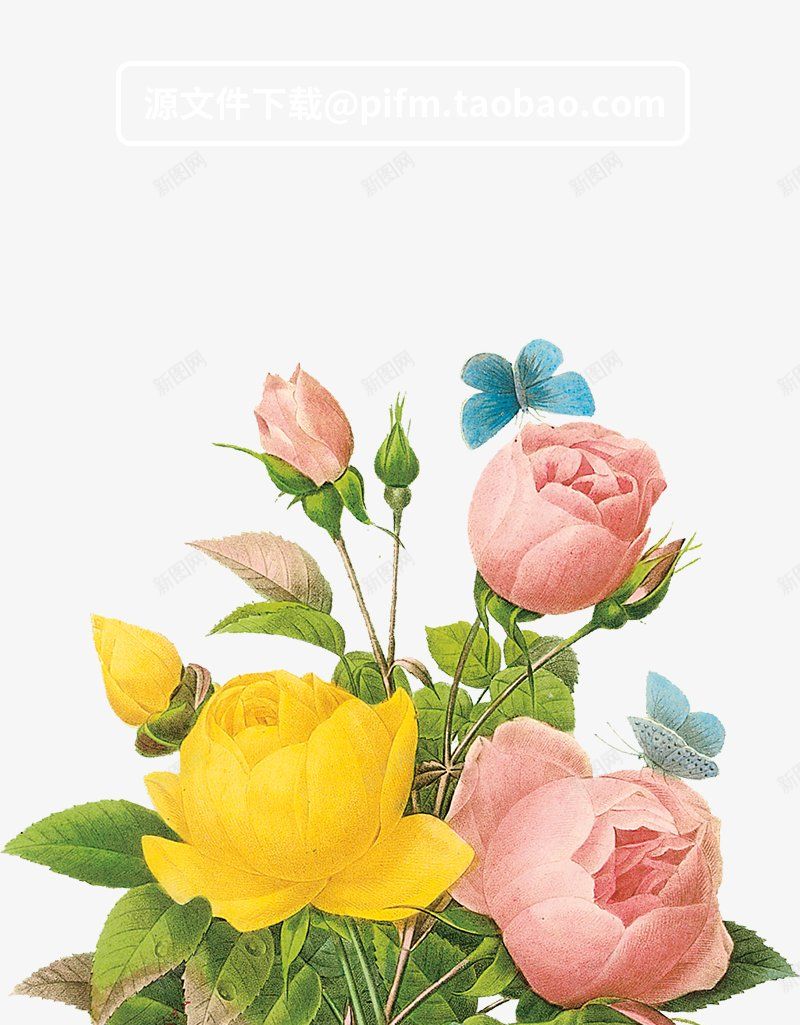 花卉每日更新求关注png免抠素材_新图网 https://ixintu.com 每日更新求关注 花卉