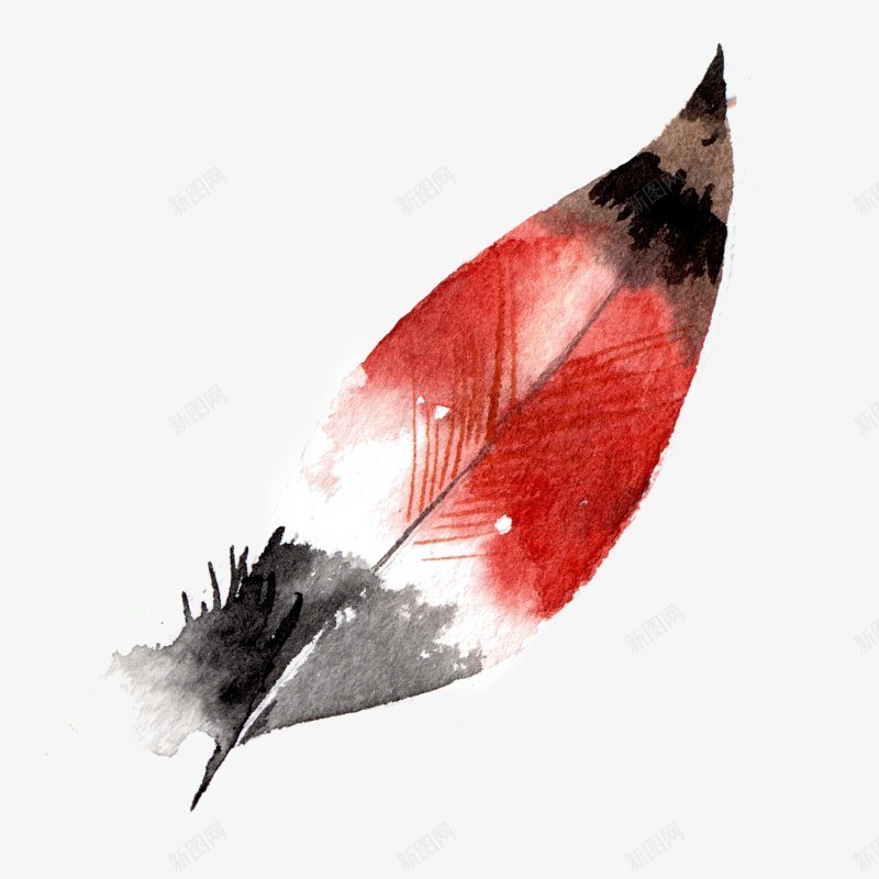 手绘水彩灰白红棕渐变花羽毛图png免抠素材_新图网 https://ixintu.com 水彩羽毛 创意绘画 花彩羽毛 唯美 灰白色羽毛 红棕色 渐变 矢量 羽绒 创意的 简笔画 涂画 插图 取色 羽毛