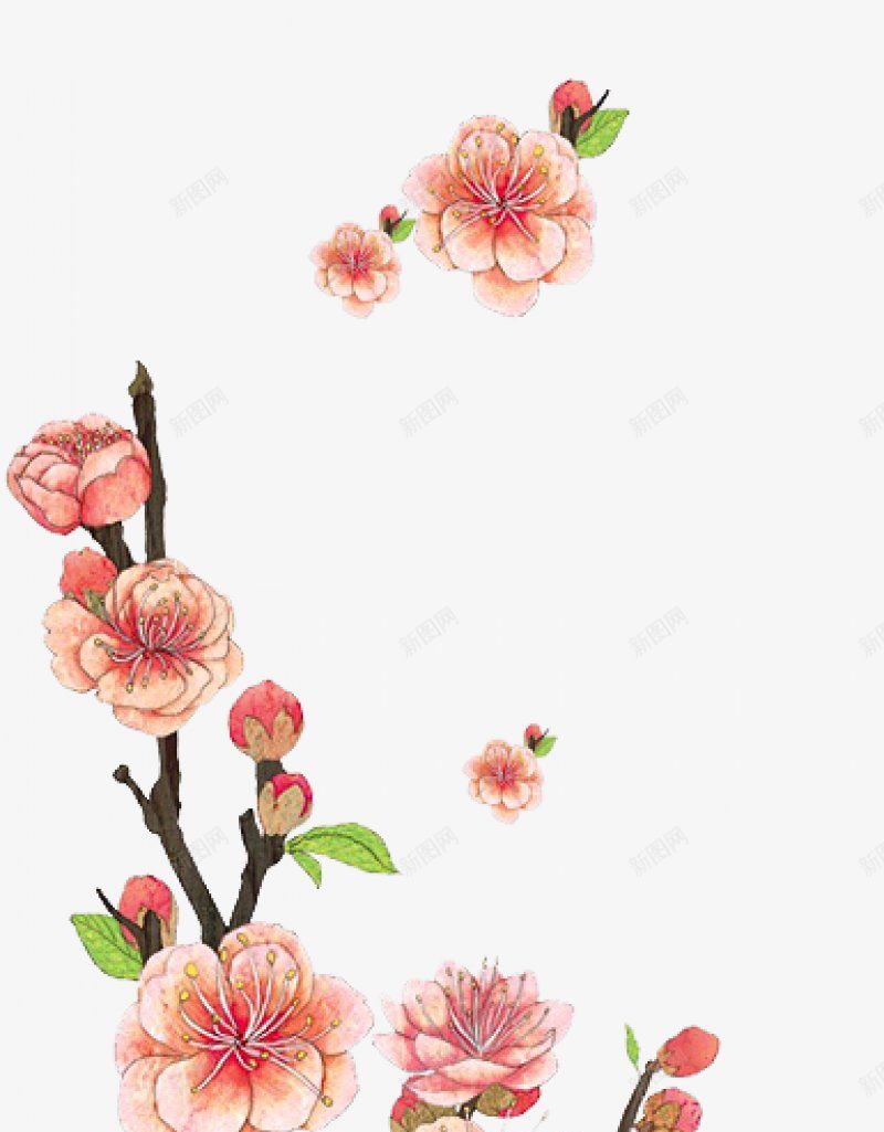 春天桃花手绘插画桃花植物PNS透明底png免抠素材_新图网 https://ixintu.com PNS透明底 手绘插画 春天桃花 桃花植物