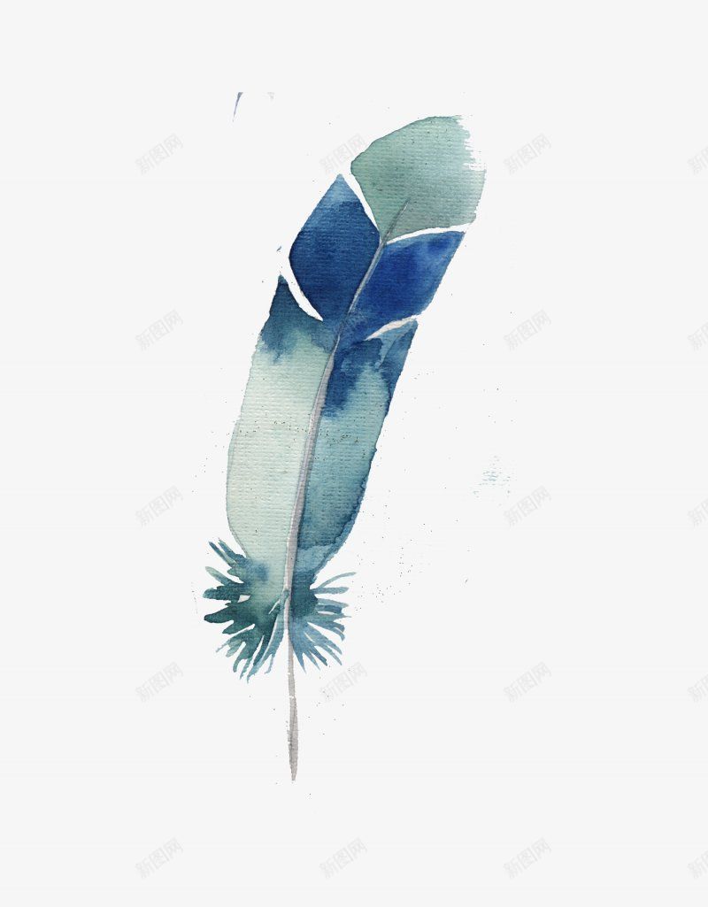 手绘水彩灰白蓝色花羽毛图png免抠素材_新图网 https://ixintu.com 水彩羽毛 创意绘画 花彩羽毛 唯美 灰白色羽毛 蓝色 矢量 羽绒 创意的 简笔画 涂画 插图 取色 羽毛