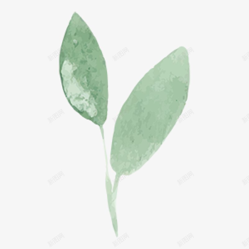 水彩手绘花卉图手绘彩绘水彩插画png免抠素材_新图网 https://ixintu.com 免扣手绘彩绘水彩插画 水彩手绘花卉图