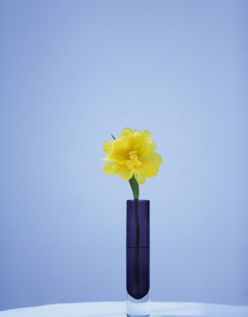 产品渲染背景图jpg设计背景_新图网 https://ixintu.com 产品渲染背景图 设计