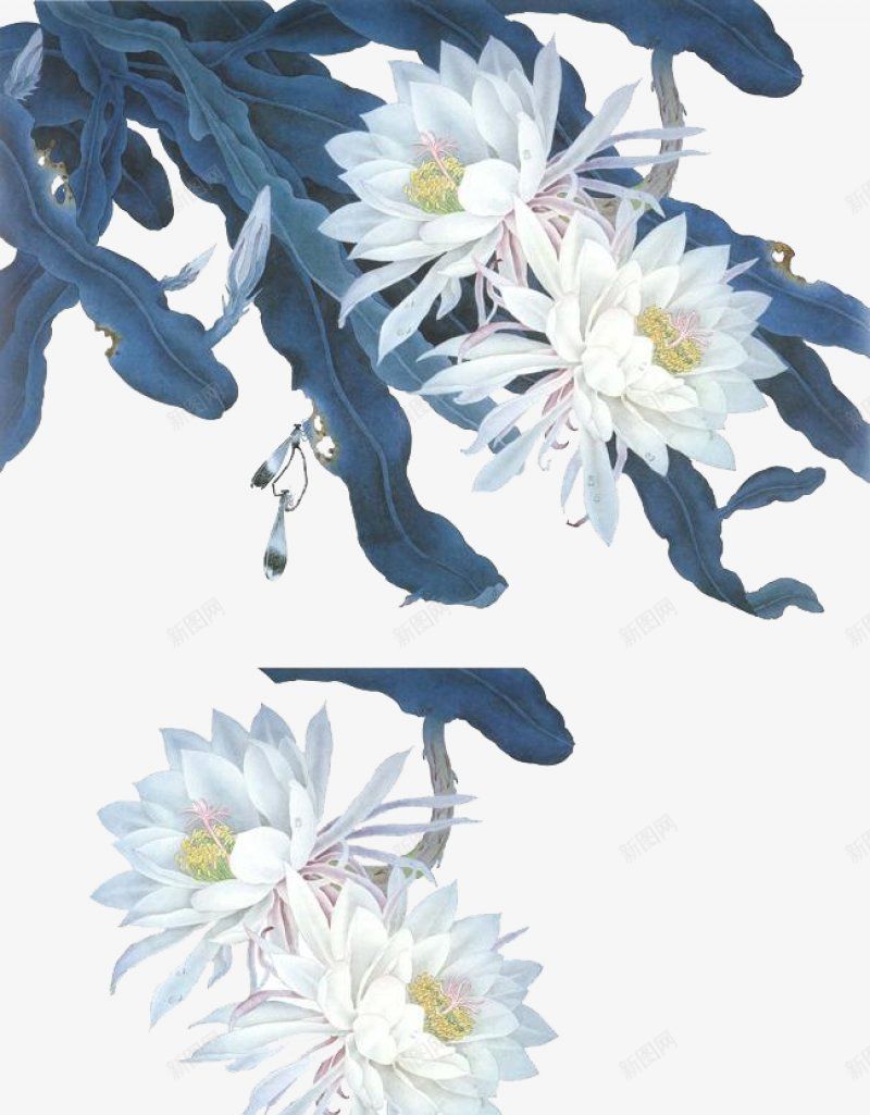 花饰品贴纸小png免抠素材_新图网 https://ixintu.com 小 花 贴纸 饰品