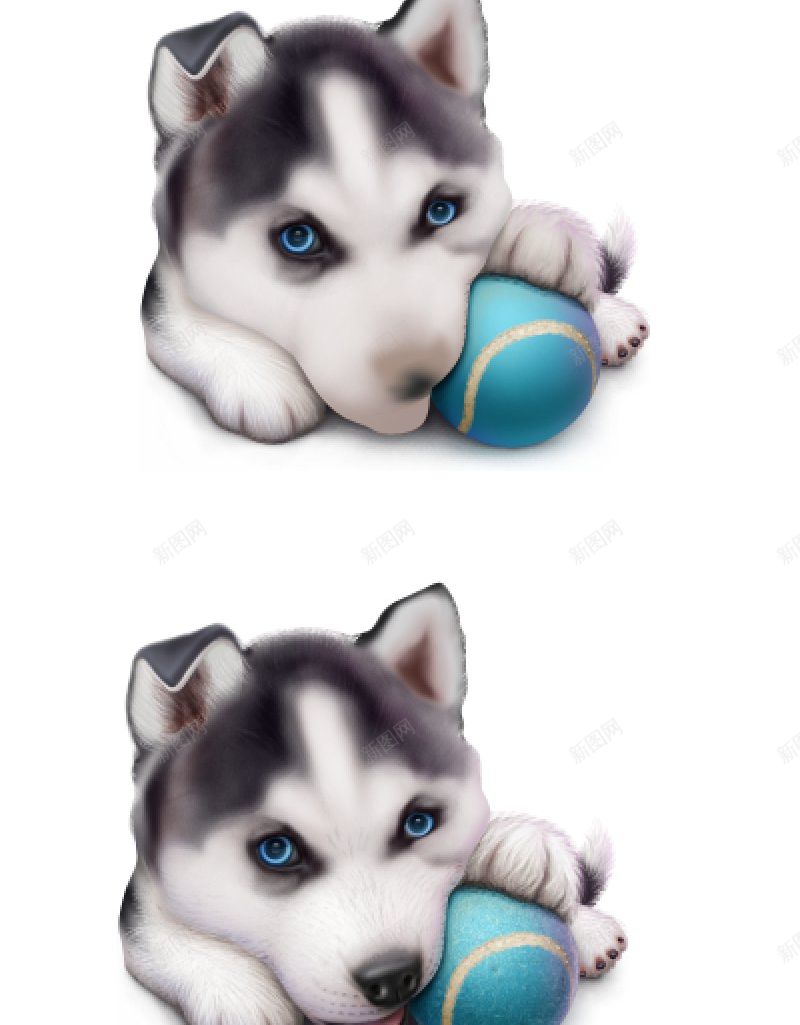 Huskyprocess真实动物图标png_新图网 https://ixintu.com Husky process 真实动物